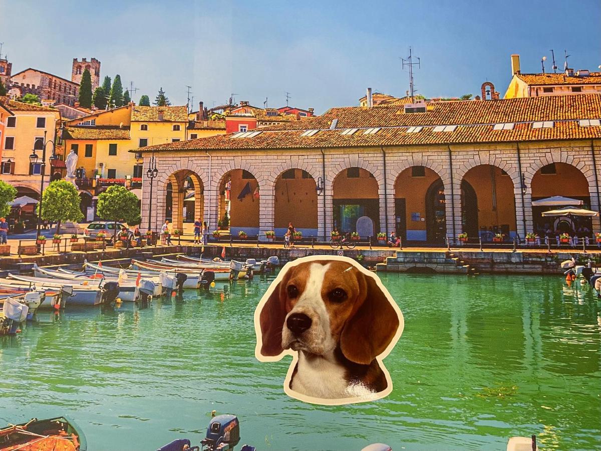 DesenzanoLoft Gardastar La stella del Lago Desenzano del Garda Esterno foto